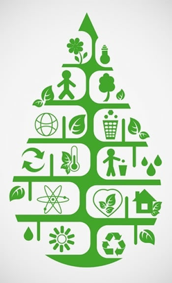 Environmental Management From Complete Cleaning